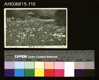 藏品(中國風景風俗繪畫明信片)的圖片